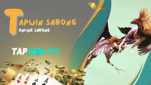 Benefits and Risks of Online Sabong